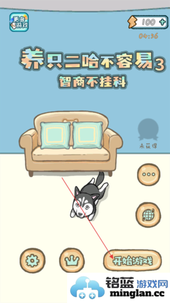 养只二哈不容易3官方直版_养只二哈不容易3免费下载1.0.5