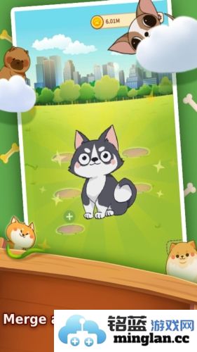 可爱的小狗截图4