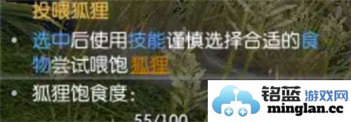 逆水寒手游中如何顺利完成絮絮狐语任务的详细攻略
