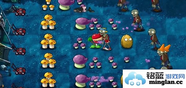 植物大战僵尸融合版第13关通关技巧与策略分享