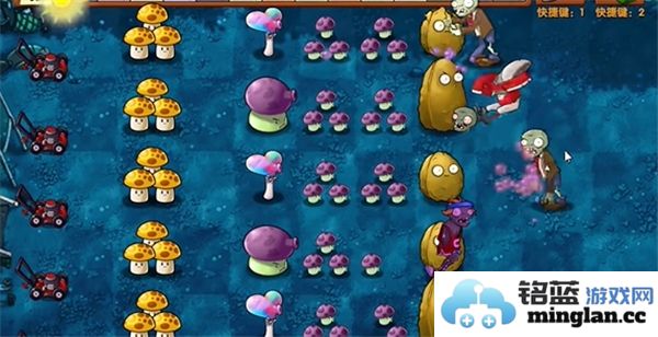 植物大战僵尸融合版第13关通关技巧与策略分享