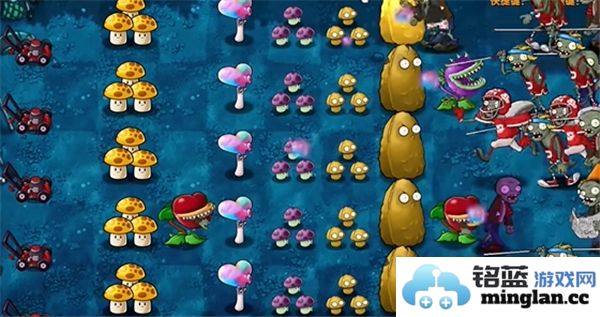 植物大战僵尸融合版第13关通关技巧与策略分享