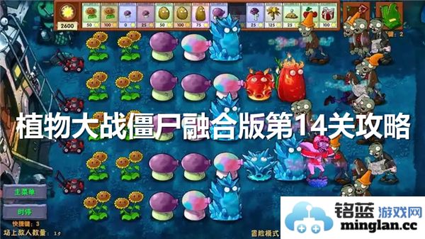 如何顺利通关植物大战僵尸融合版的第14关技巧与策略分享