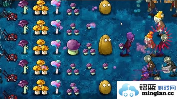 如何顺利通关植物大战僵尸融合版的第14关技巧与策略分享