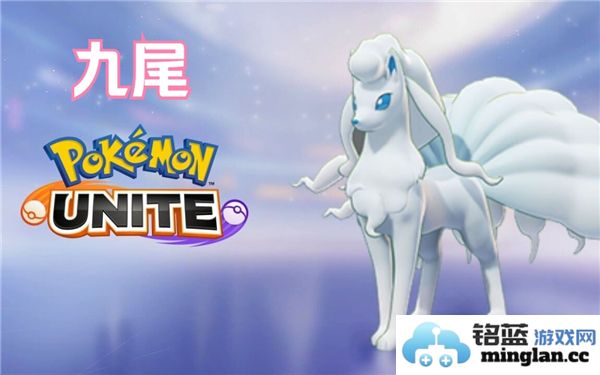 宝可梦大集结中那些射手的优秀表现值得关注