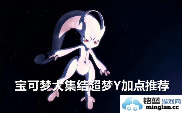 宝可梦大集结超梦Y最佳属性加点分析与推荐