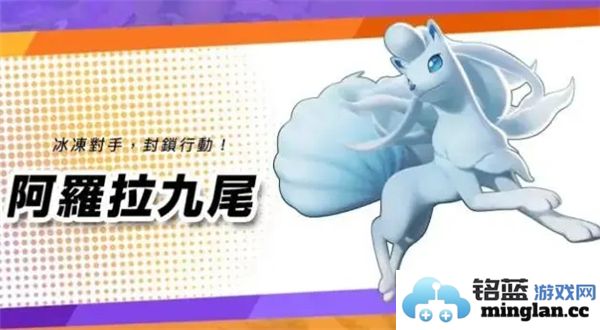 宝可梦大集结初学者最佳阵容组合推荐及玩法解析