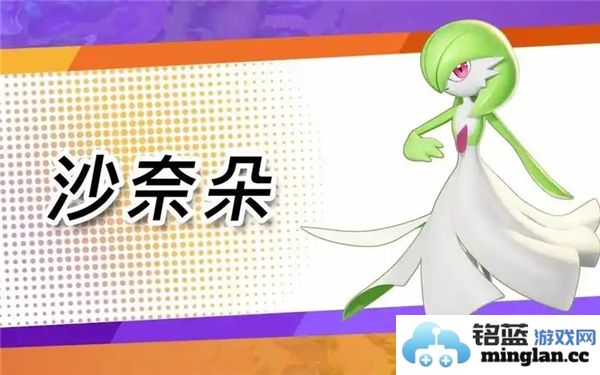 宝可梦大集结初学者最佳阵容组合推荐及玩法解析