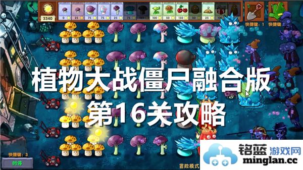 如何顺利通过植物大战僵尸融合版的第16关攻略详解
