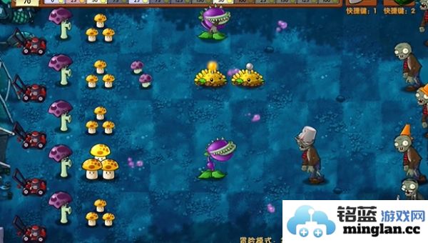 如何顺利通过植物大战僵尸融合版的第16关攻略详解