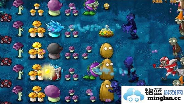 如何顺利通过植物大战僵尸融合版的第16关攻略详解
