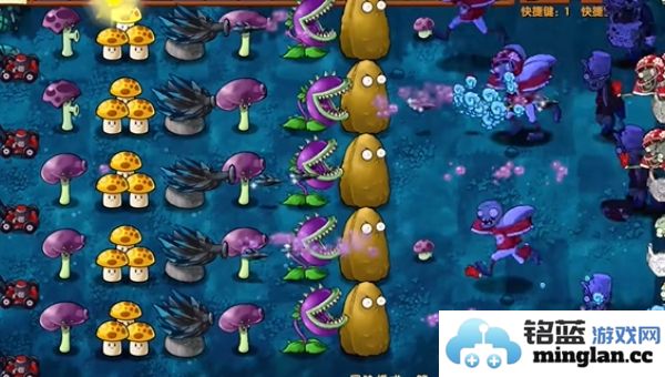 如何顺利通过植物大战僵尸融合版的第16关攻略详解
