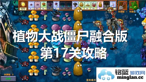 植物大战僵尸融合版第17关的通关技巧与策略分析