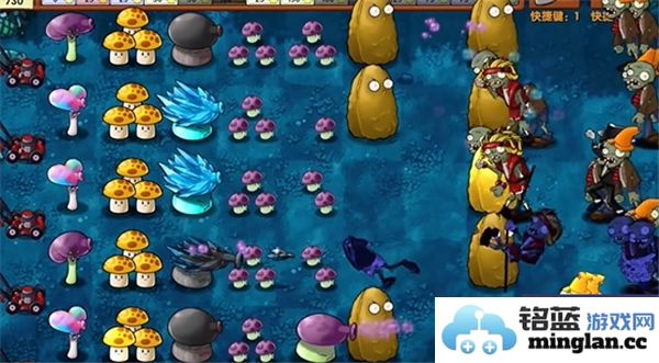 植物大战僵尸融合版第17关的通关技巧与策略分析