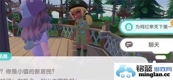 心动小镇红隼任务攻略：如何完成天下第一的挑战