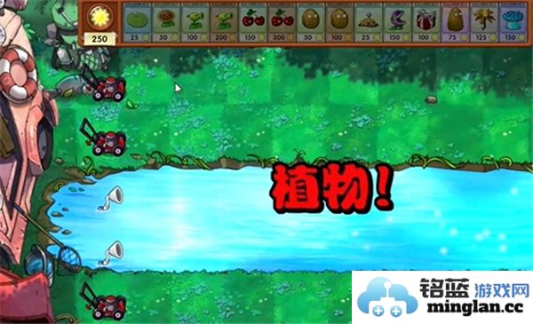 如何在植物大战僵尸融合版第19关成功通关的方法与技巧