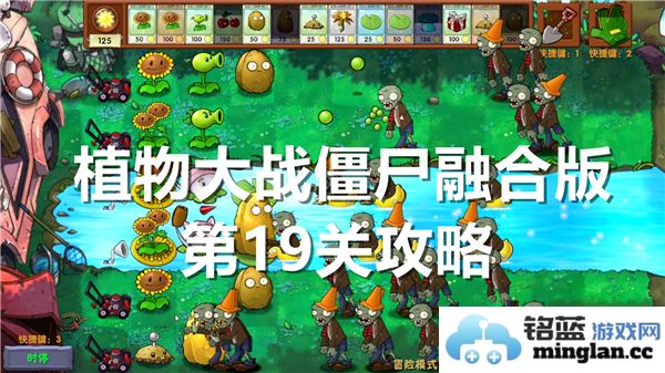 如何在植物大战僵尸融合版第19关成功通关的方法与技巧