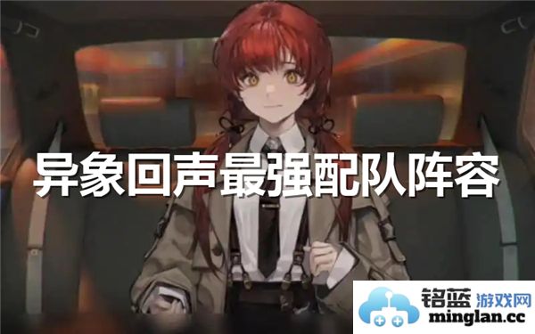 异象回声最佳配队阵容推荐与解析，组合策略全面升级