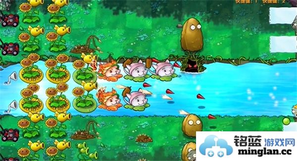 植物大战僵尸融合版第24关过关攻略分享，助你轻松闯关无忧