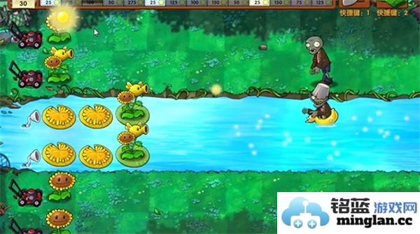 植物大战僵尸融合版第24关过关攻略分享，助你轻松闯关无忧