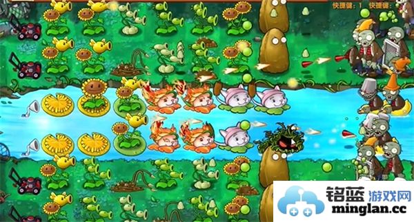 植物大战僵尸融合版第24关过关攻略分享，助你轻松闯关无忧