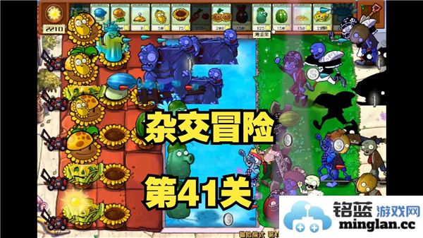 植物大战僵尸混合版冒险模式第41关过关技巧详解