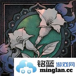 咒语全成就经验分享与攻略解析，助力你的游戏之旅