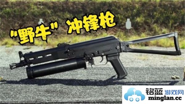 三角洲行动中对野牛冲锋枪的改进与优化方案探讨