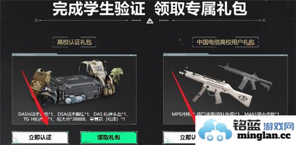 如何获得三角洲行动项目的高校认证及相关流程指南