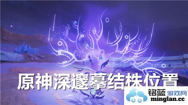原神深邃摹结株的详细位置攻略与寻找到的方法