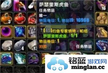 如何在魔兽世界中学习大师级钓鱼技能以及相关地点指南