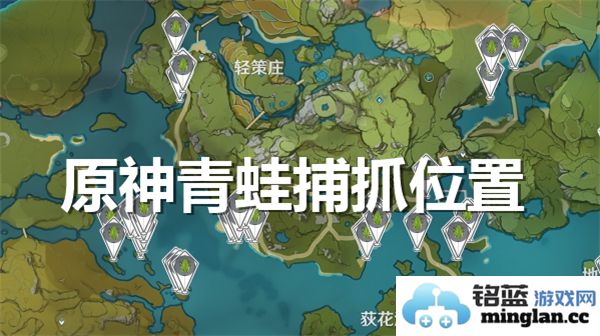 原神中如何寻找和捕捉青蛙的最佳地点与技巧