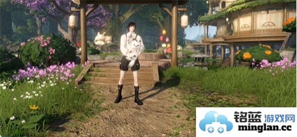 如何在逆水寒手游中获取宠物专属拥抱互动动作的方法介绍