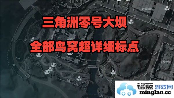 三角洲行动零号坝区鸟类栖息地的重要性与保护措施