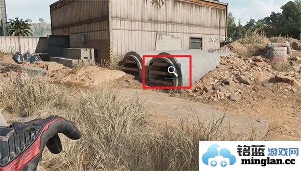 三角洲行动零号坝区鸟类栖息地的重要性与保护措施