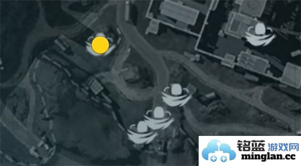 三角洲行动零号坝区鸟类栖息地的重要性与保护措施