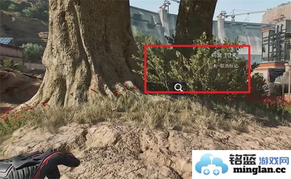 三角洲行动零号坝区鸟类栖息地的重要性与保护措施