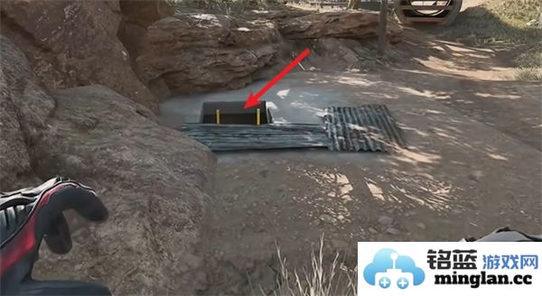 三角洲行动零号坝区鸟类栖息地的重要性与保护措施