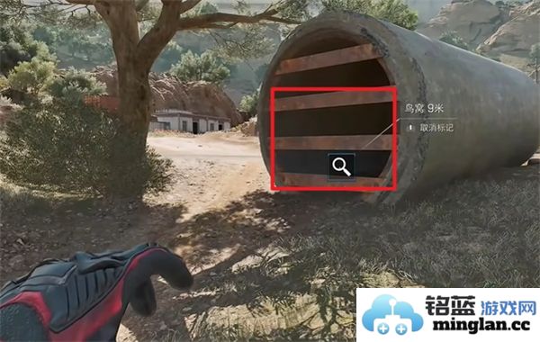 三角洲行动零号坝区鸟类栖息地的重要性与保护措施