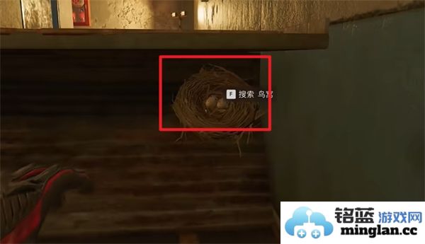 三角洲行动零号坝区鸟类栖息地的重要性与保护措施