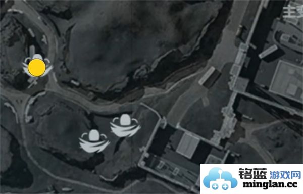 三角洲行动零号坝区鸟类栖息地的重要性与保护措施