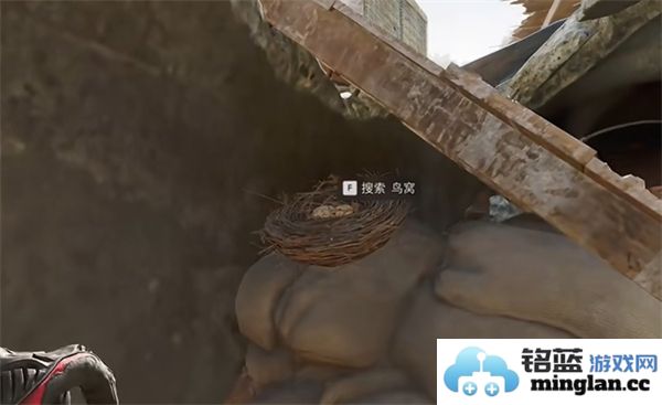 三角洲行动零号坝区鸟类栖息地的重要性与保护措施