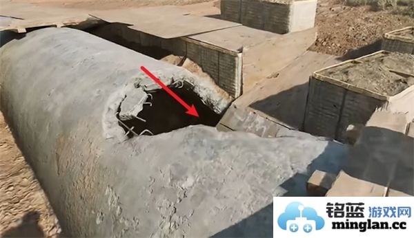 三角洲行动零号坝区鸟类栖息地的重要性与保护措施