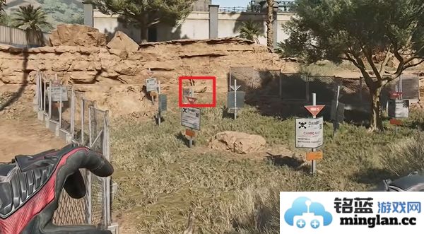 三角洲行动零号坝区鸟类栖息地的重要性与保护措施