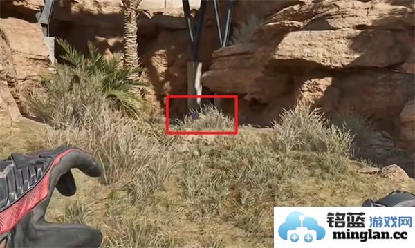 三角洲行动零号坝区鸟类栖息地的重要性与保护措施