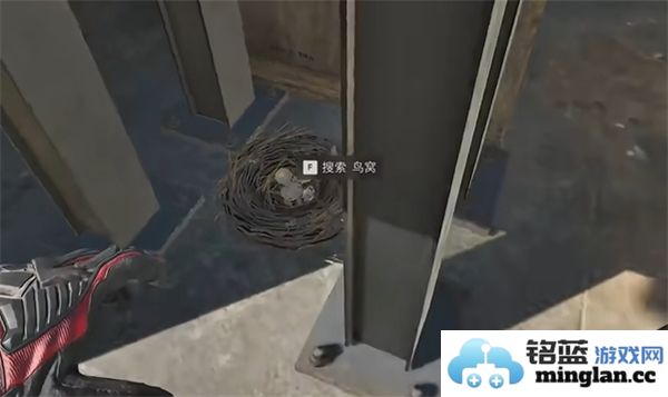 三角洲行动零号坝区鸟类栖息地的重要性与保护措施