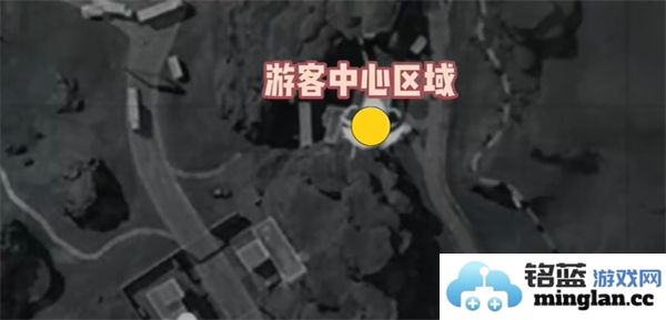 三角洲行动零号坝区鸟类栖息地的重要性与保护措施