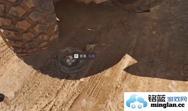 三角洲行动零号坝区鸟类栖息地的重要性与保护措施