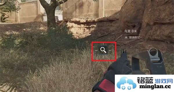 三角洲行动零号坝区鸟类栖息地的重要性与保护措施