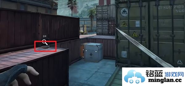 三角洲行动零号坝区鸟类栖息地的重要性与保护措施